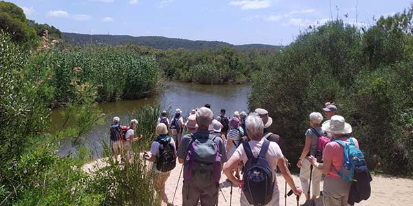 The featured image of this holiday