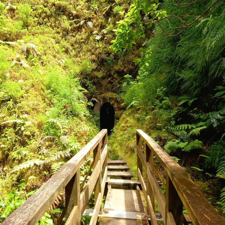 The featured image of this holiday