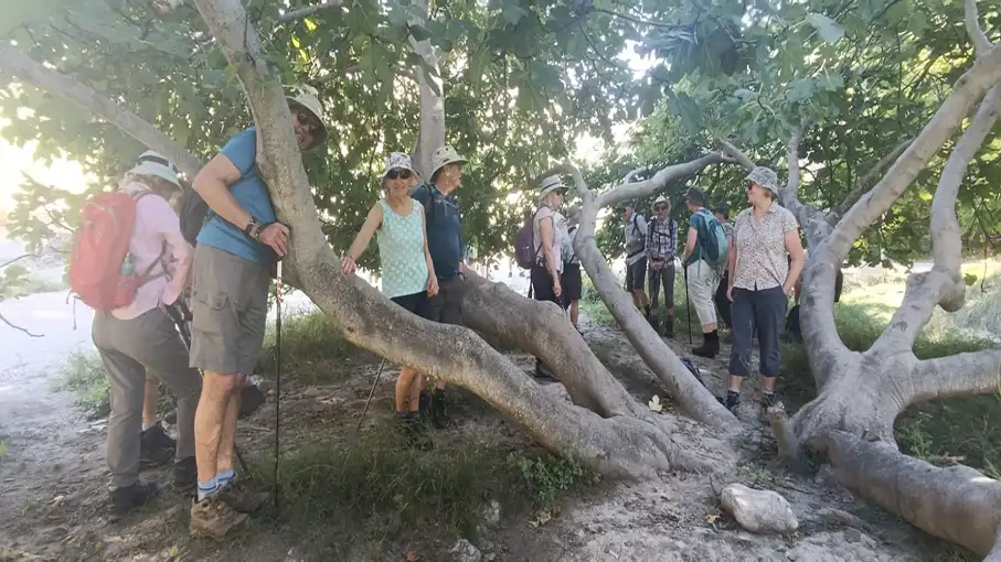 The featured image of this holiday