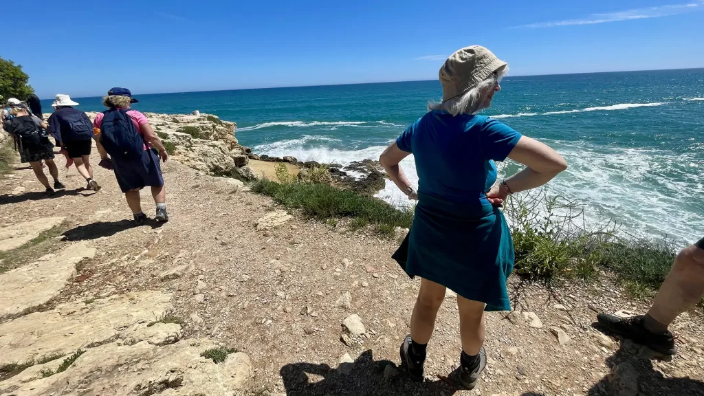 a walking group admiring the landscape