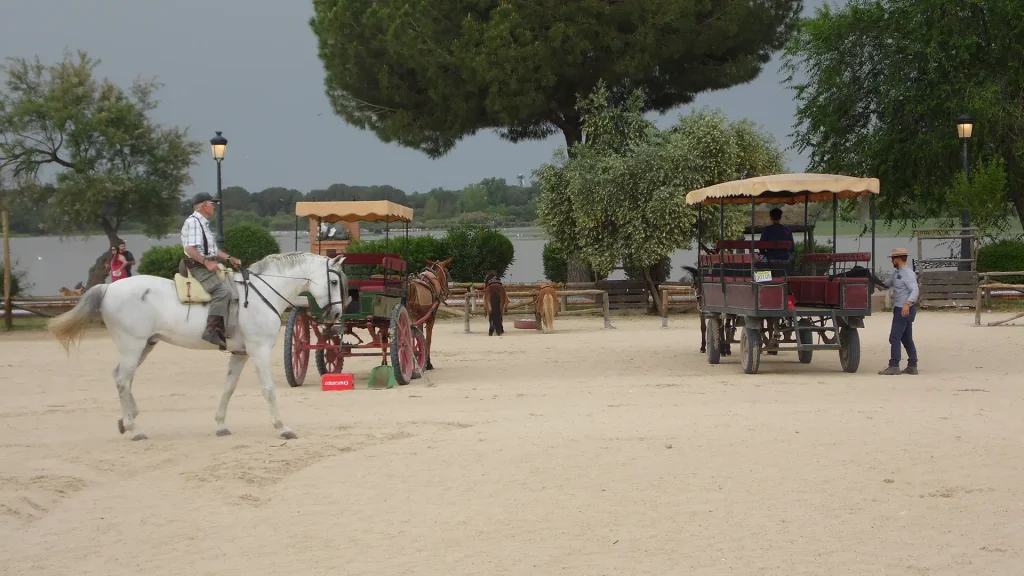 El Rocio, Doñana National Park, Spain