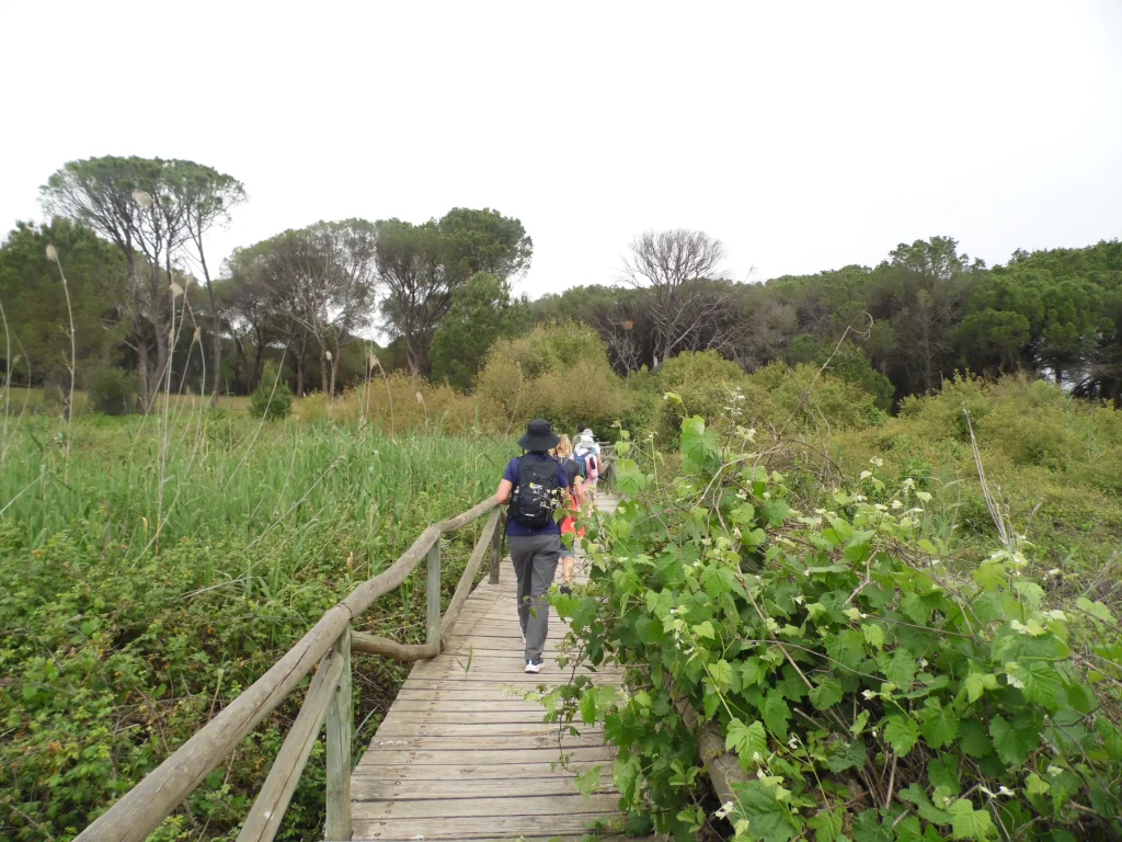 El Rocio, Doñana National Park, Spain