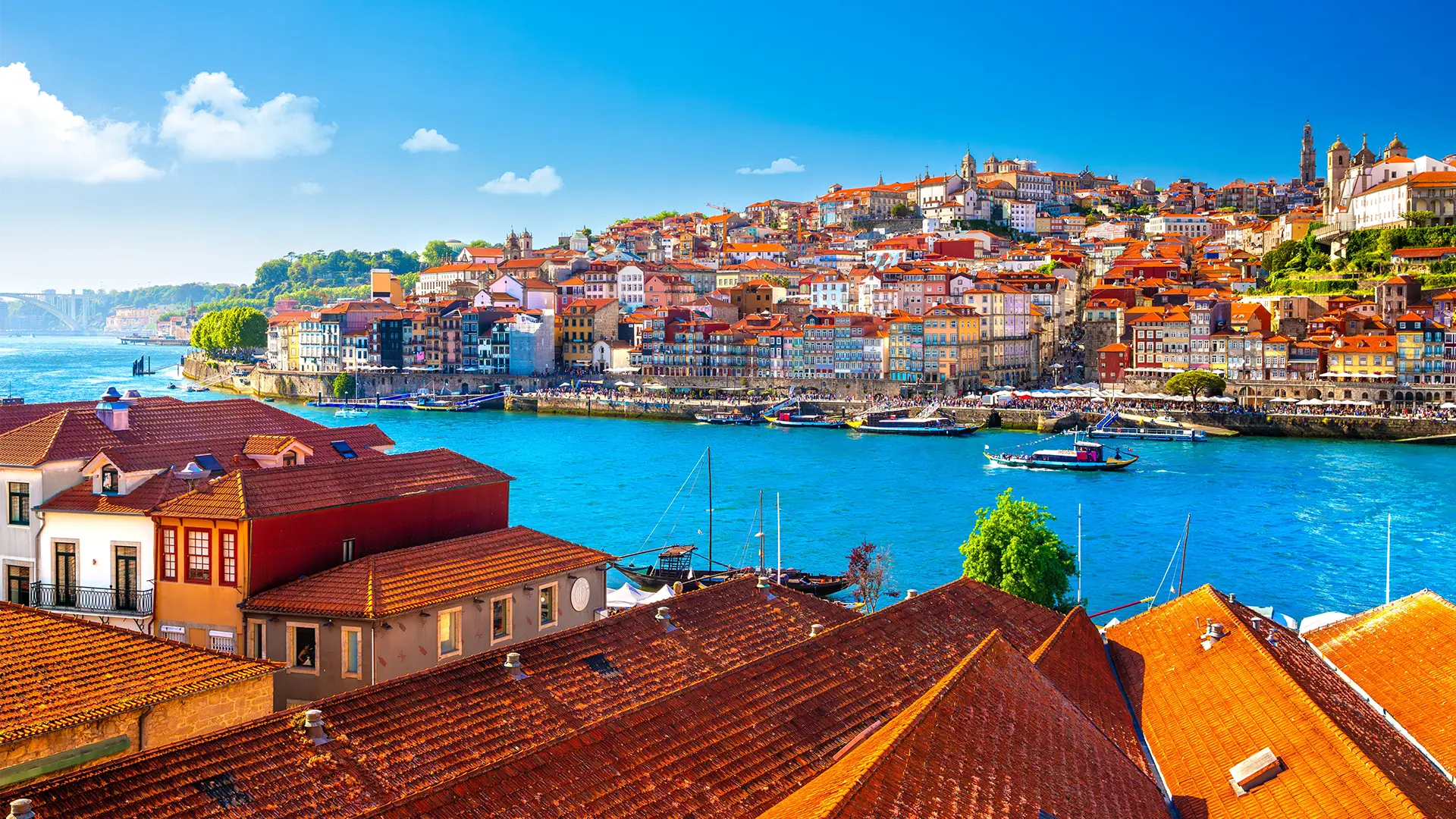 Porto on Foot
