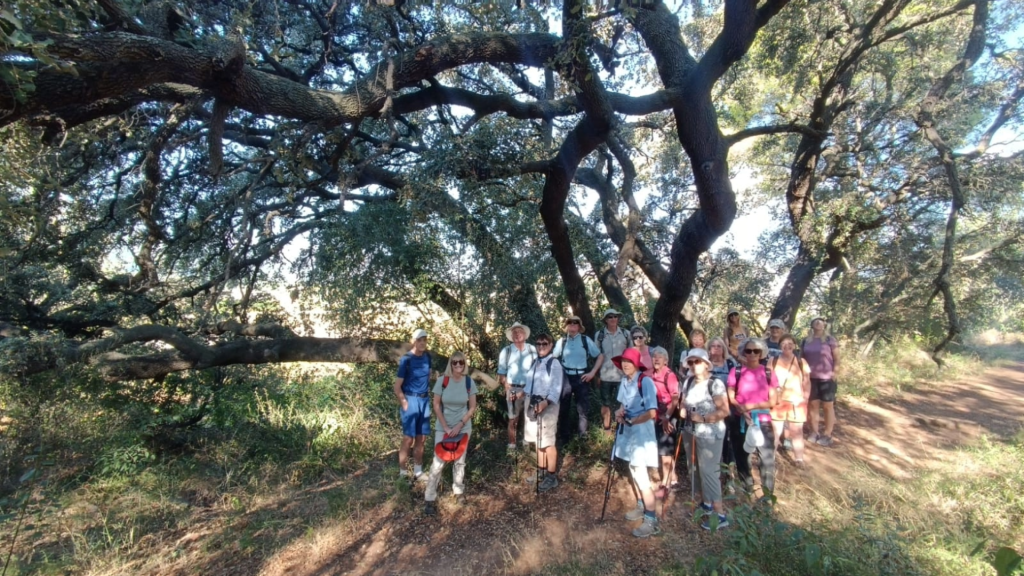 costa blanca group sep tour