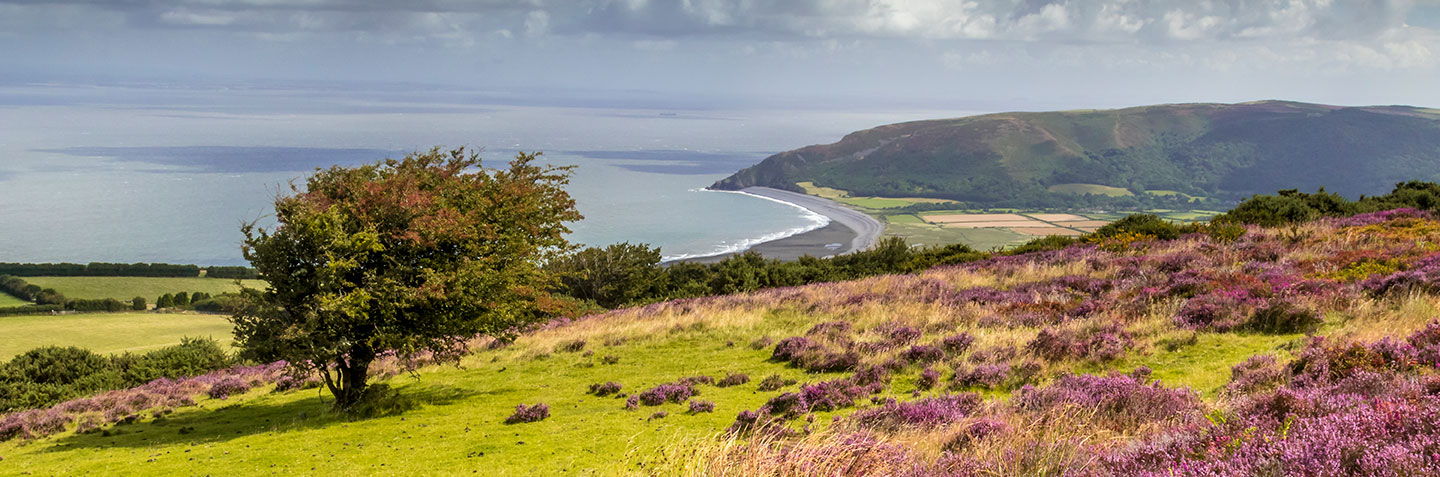 The featured image of this holiday