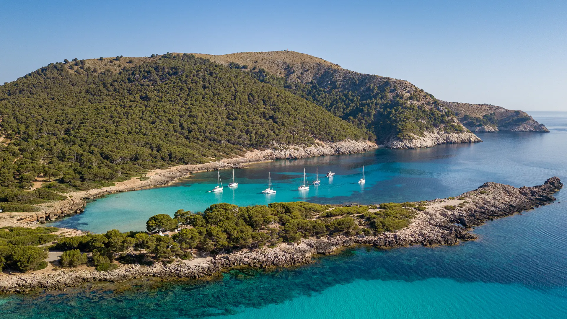 The featured image of this holiday