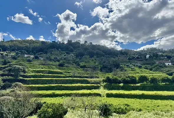 The featured image of this holiday