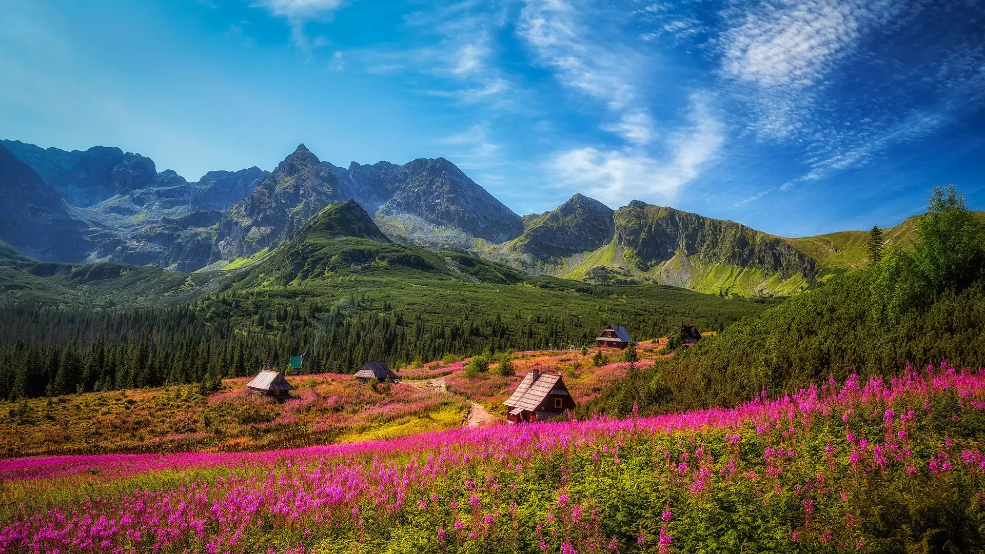 The featured image of this holiday