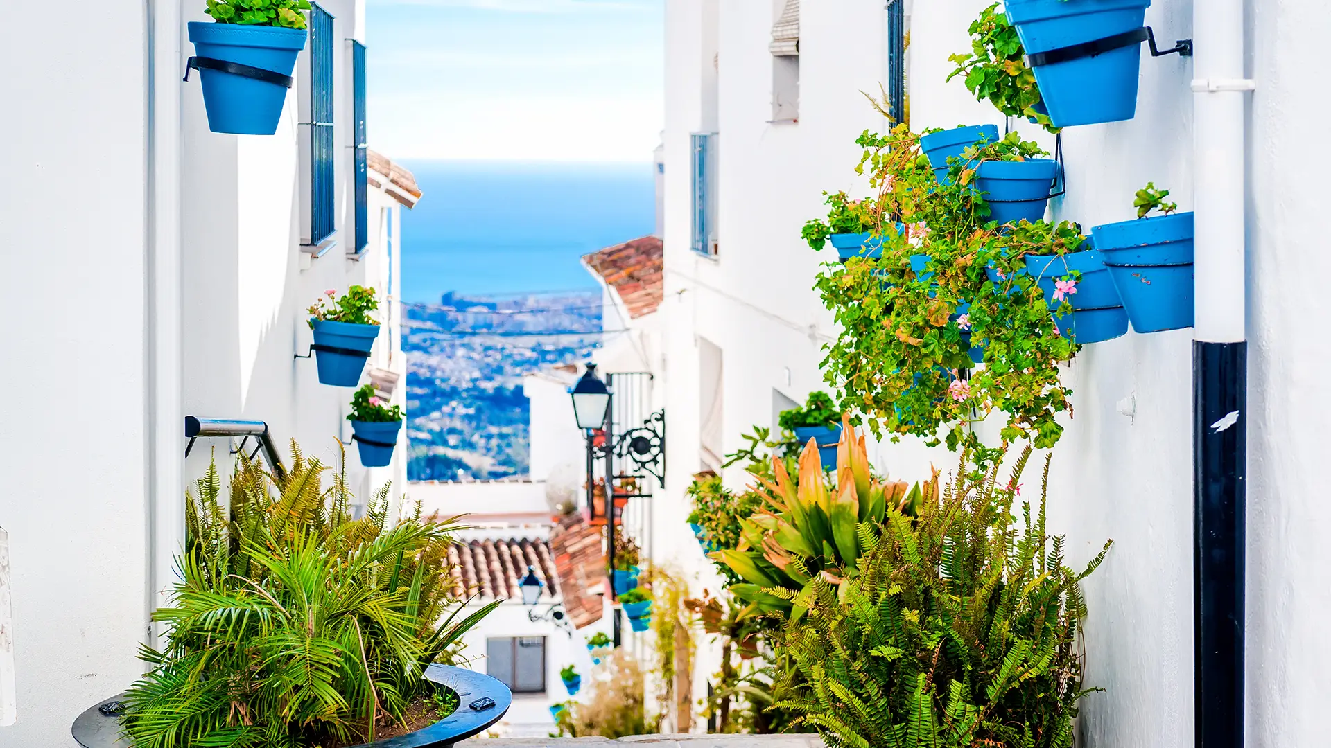 The featured image of this holiday