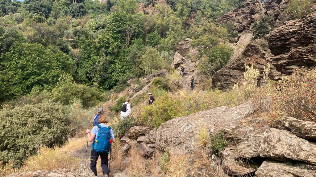 andalucia group tour sep 2026