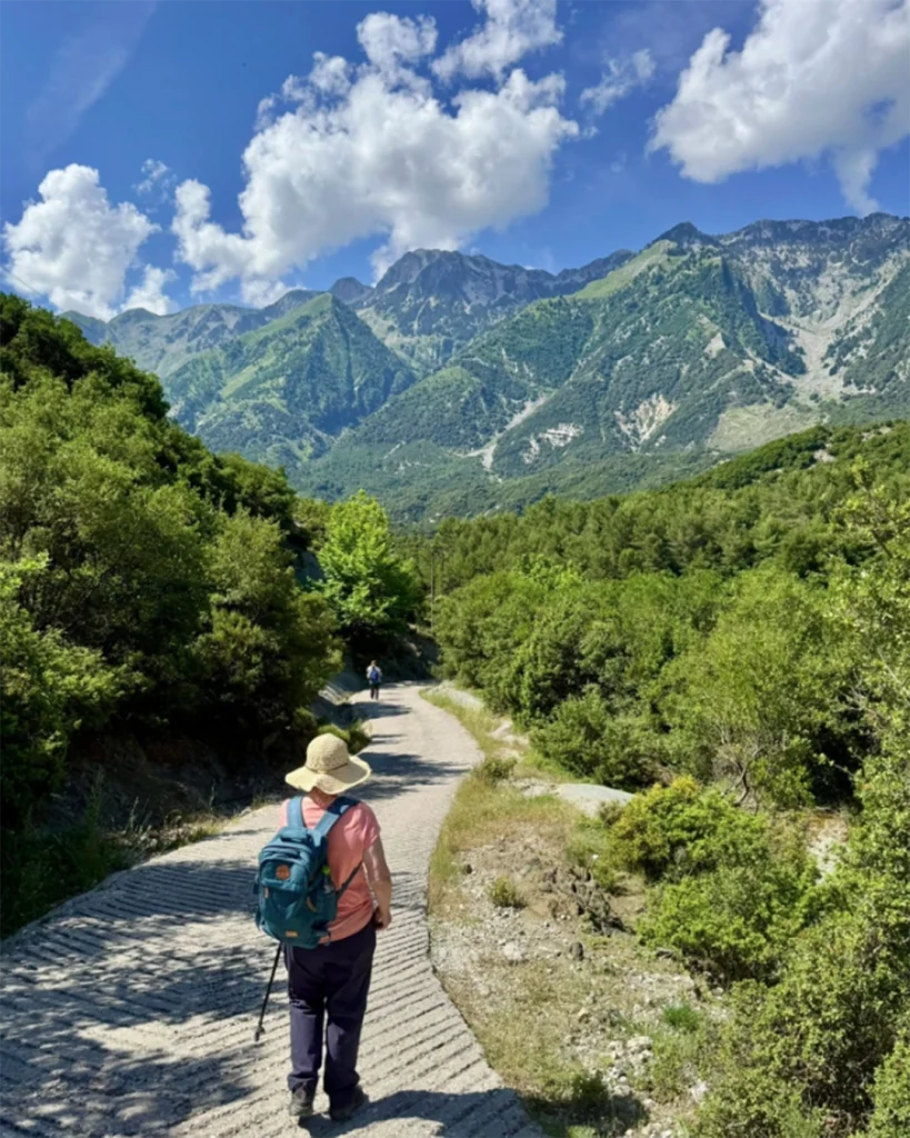 albania clear photo photo tips for using phone webp