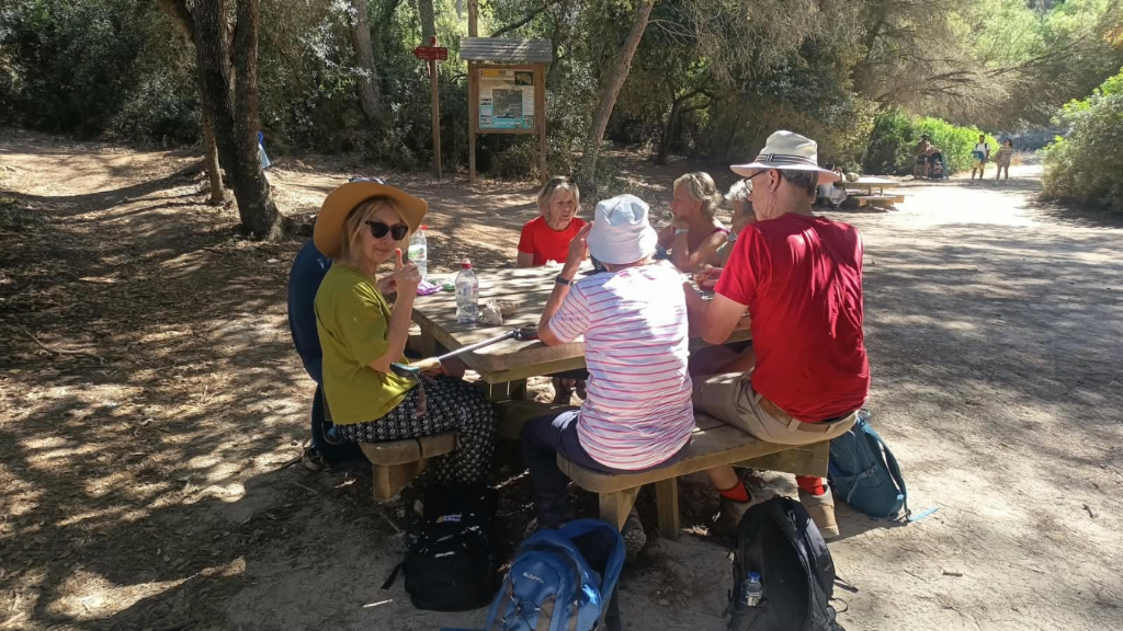 enjoying the picnic