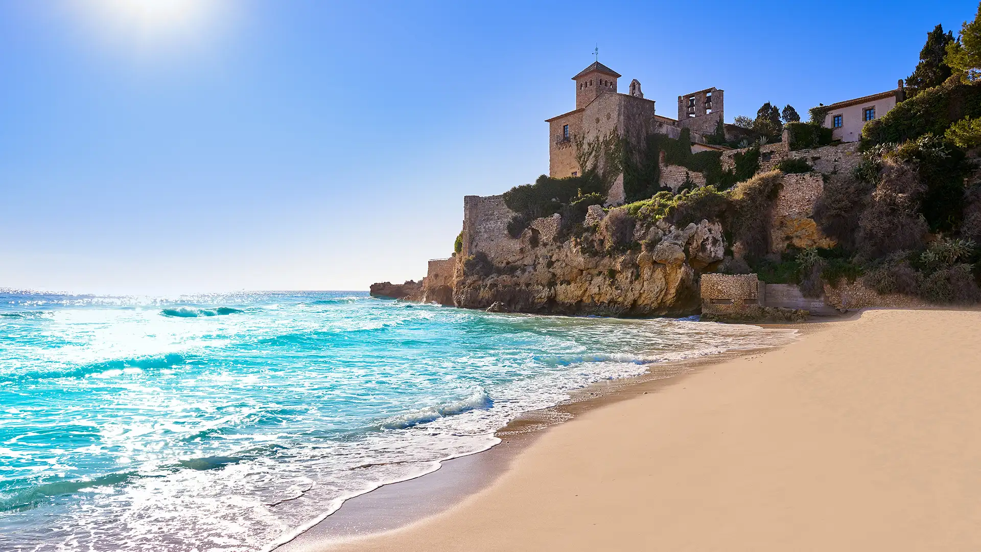 shutterstock_1345248671