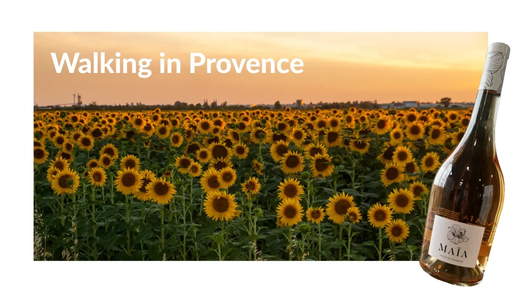 walking in provence rose copy