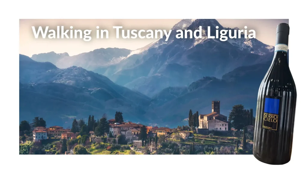 walking in tuscany white wine copy