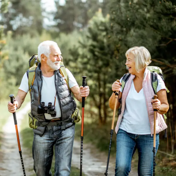 walking poles image 2 webp
