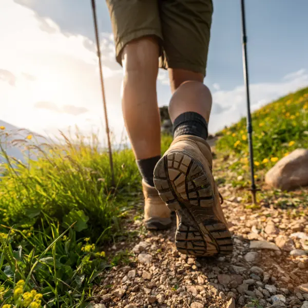 walkinng poles image webp